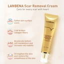 Lanbena TCM Scar and ACNE Mark Removal Gel Ointment - 30 g