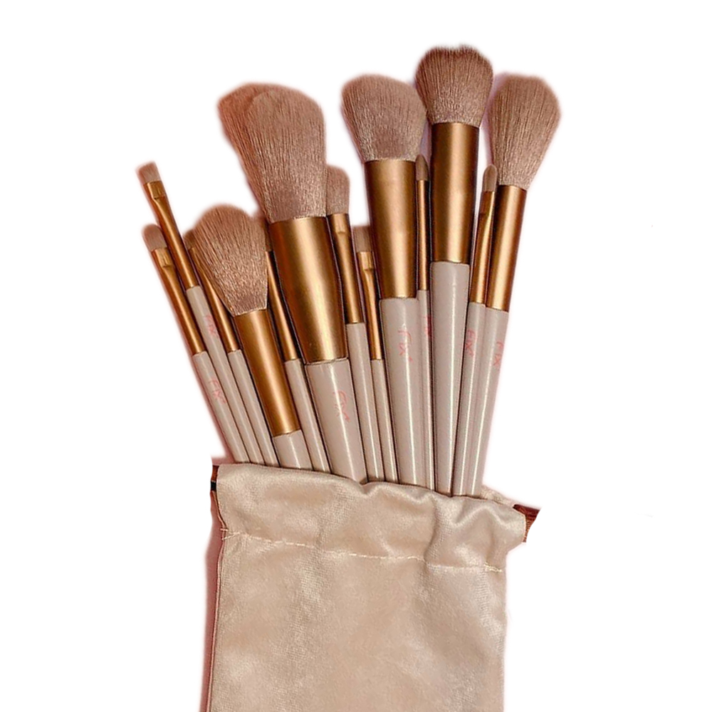 Fix 13 Pcs Brush Set With Bag- Golden